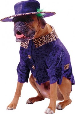 hund.jpg