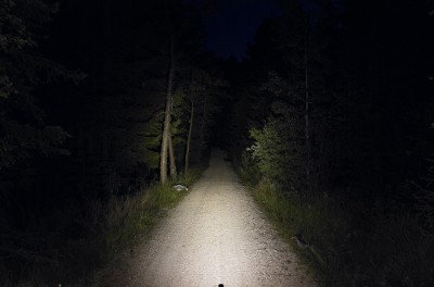 Quelle: Lupine