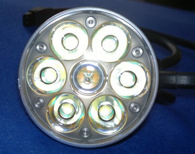 Lupine_2.jpg