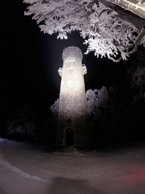 Lupine Betty 6.jpg