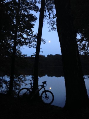 IMG_9179_.jpg (445.69 KiB) 4064 mal betrachtet IMG_9179_.jpg