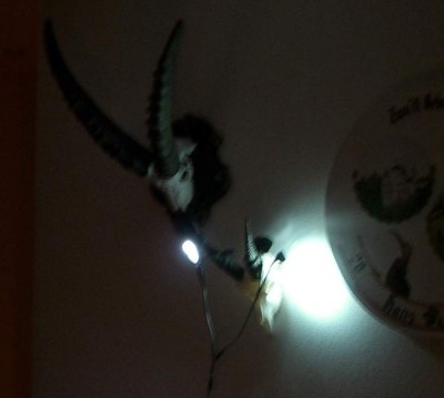 CIMG0240.jpg (33.53 KiB) 14703 mal betrachtet CIMG0240.jpg