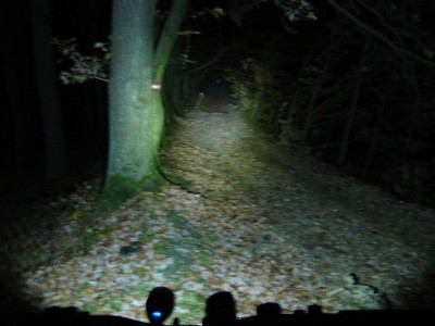 Tesla 12W.JPG (154.42 KiB) 12593 mal betrachtet Tesla 12W