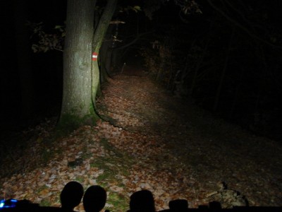 Passubio 22W.JPG (140.64 KiB) 12588 mal betrachtet Pssubio 22W