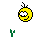 Flowers :flower: